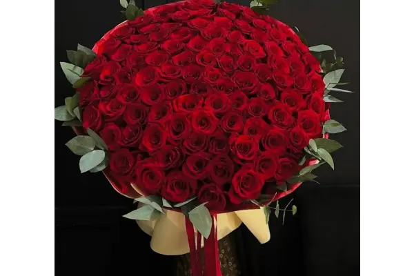 101 Güllü İsteme Çiçeği